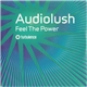 Audiolush - Feel The Power