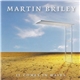 Martin Briley - It Comes In Waves